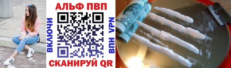 APVP СК Новокузнецк