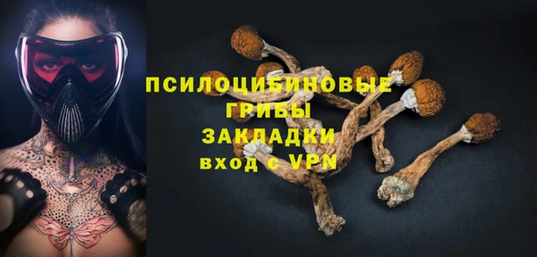 бошки Краснослободск