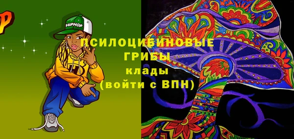 PSILOCYBIN Красноперекопск