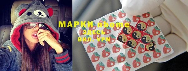 бошки Краснослободск