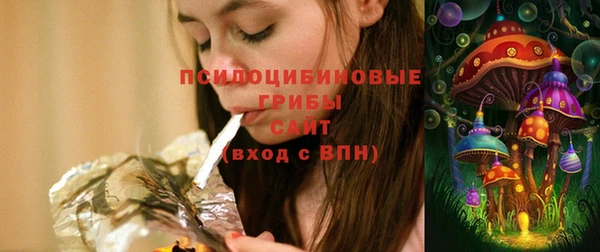 PSILOCYBIN Красноперекопск
