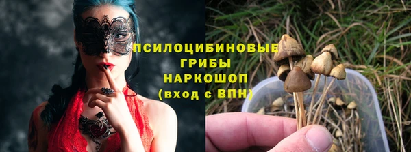 бошки Краснослободск