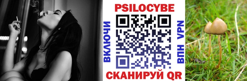 kraken как зайти  Новокузнецк  Псилоцибиновые грибы мицелий 